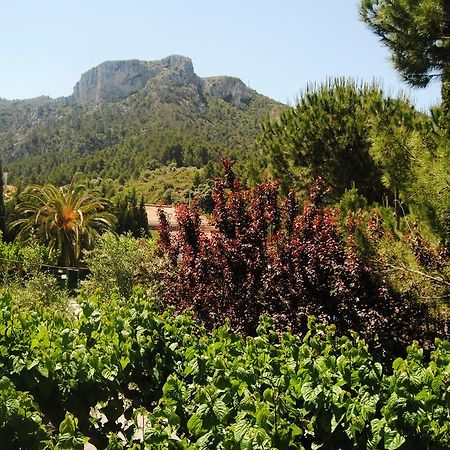 Hostal Braseria Tivissa 外观 照片